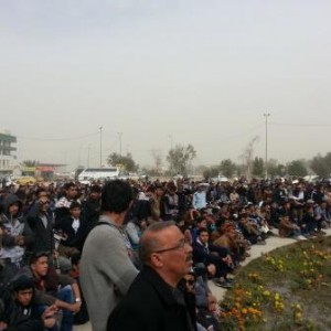 اخبار